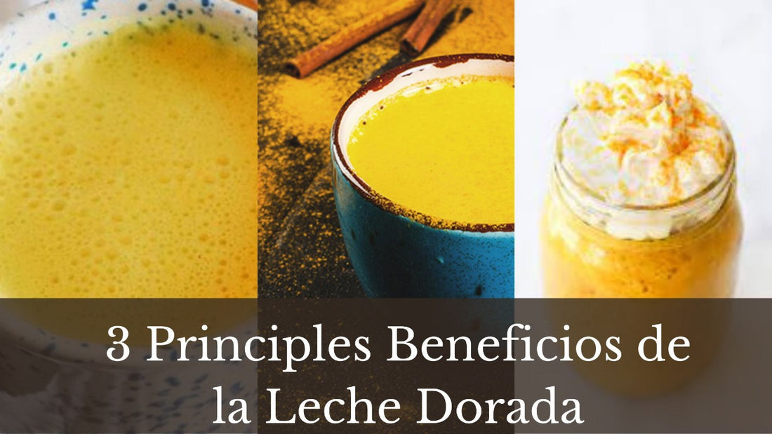 3 Principales Beneficios de la Leche Dorada